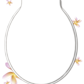 Assento Sanitário Especial Perfumado Floral
